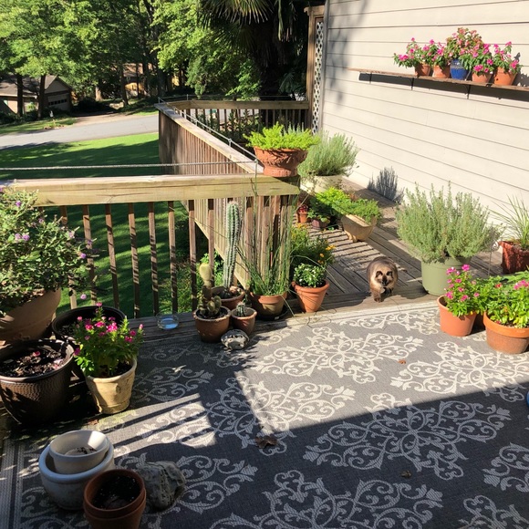 Meet your Posher, April - Picture 8 of 8